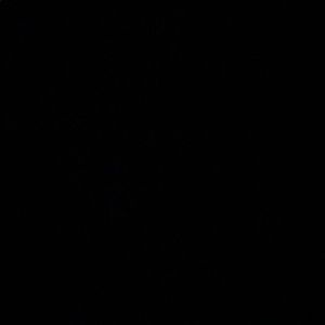 Meet your Posher, Jessie